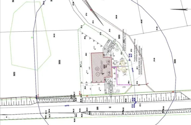 Przestronny dom 142 m2 z garażem, duża działka w lesie,blisko Osieczna – zdjęcie 2