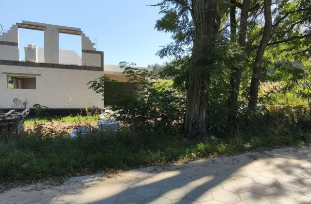 Przestronny dom 142 m2 z garażem, duża działka w lesie,blisko Osieczna – zdjęcie 4